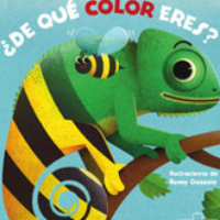 ¿DE QUe COLOR ERES?. MI PRIMER LIBRO PUZLE (VVKIDS)