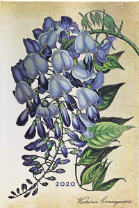 PAPERBLANKS GLICINA EN FLOR MINI EN BLANCO