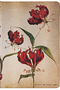 PAPERBLANKS LIRIO ESCALANTE MINI LINEAS