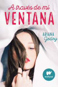 A TRAVES DE MI VENTANA.(SIN LIMITES)