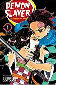 DEMON SLAYER - KIMETSU NO YAIBA 01