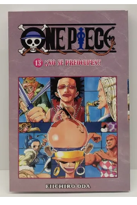 ¡NO SE PREOCUPEN! ONE PPIECE N°13|