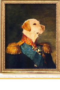 RETRATOS DE ANIMALES (enmarcacion premium)