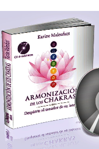 ARMONIZACION DE CHAKRAS