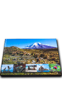 POSTALES DEL ECUADOR