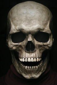 DECORACION HALLOWEEN CALAVERA