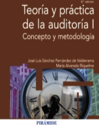TEORIA Y PRACTICA DE LA AUDITORIA I