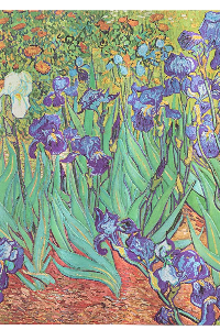 PAPERBLANKS Van Gogh’s Irises / Van Gogh’s Irises / Midi / LIN