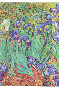 PAPERBLANKS Van Gogh’s Irises / Van Gogh’s Irises / Midi / UNL