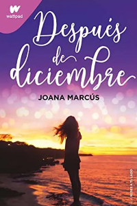DESPUES DE DICIEMBRE