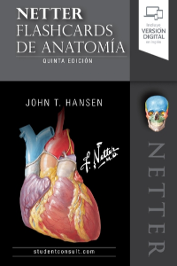 NETTER. FLASHCARDS DE ANATOMÍA (5ª ED.)