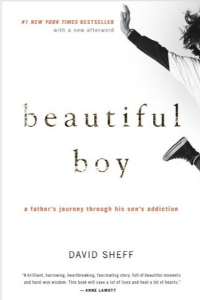 BEAUTIFULL BOY (ENGLISH) A FATHERS JOURNEY THROUGH HIS SONS ADDICTION