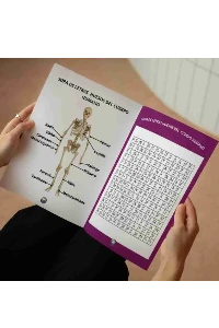 SOPA DE LETRAS. MANTEN EJERCITADA TU MENTE.