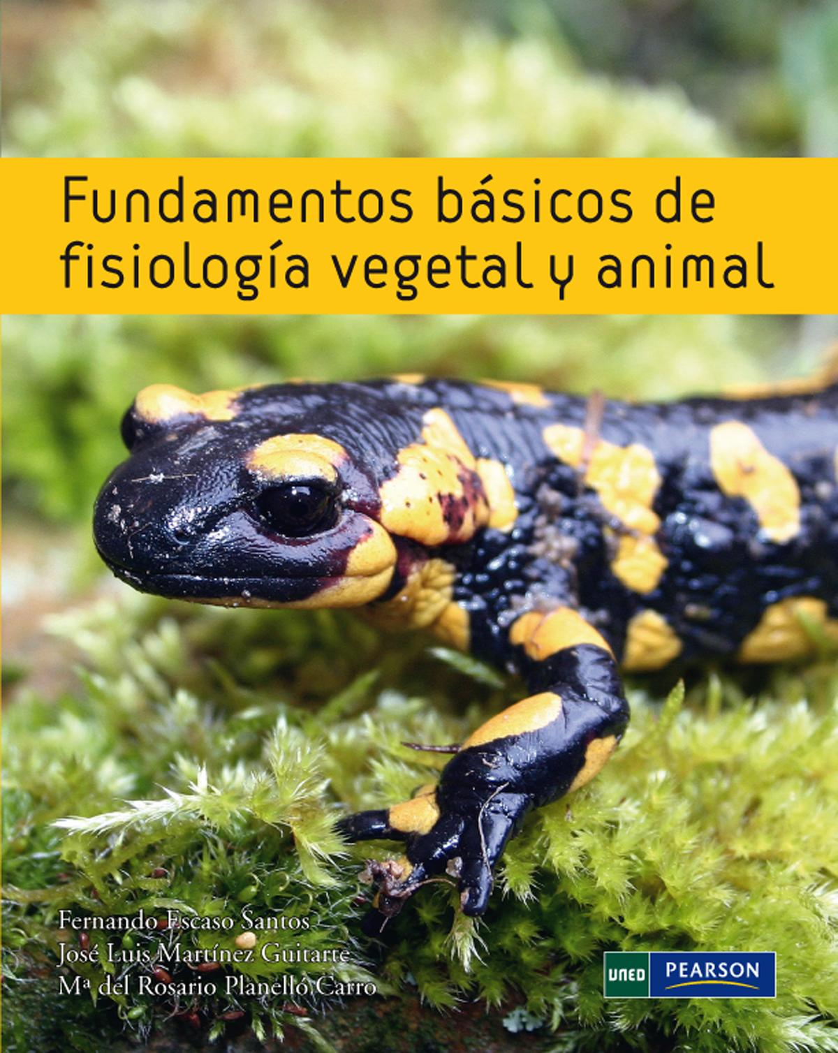 FUNDAMENTOS BASICOS FISIOLOGIA VEGETAL Y ANIMAL