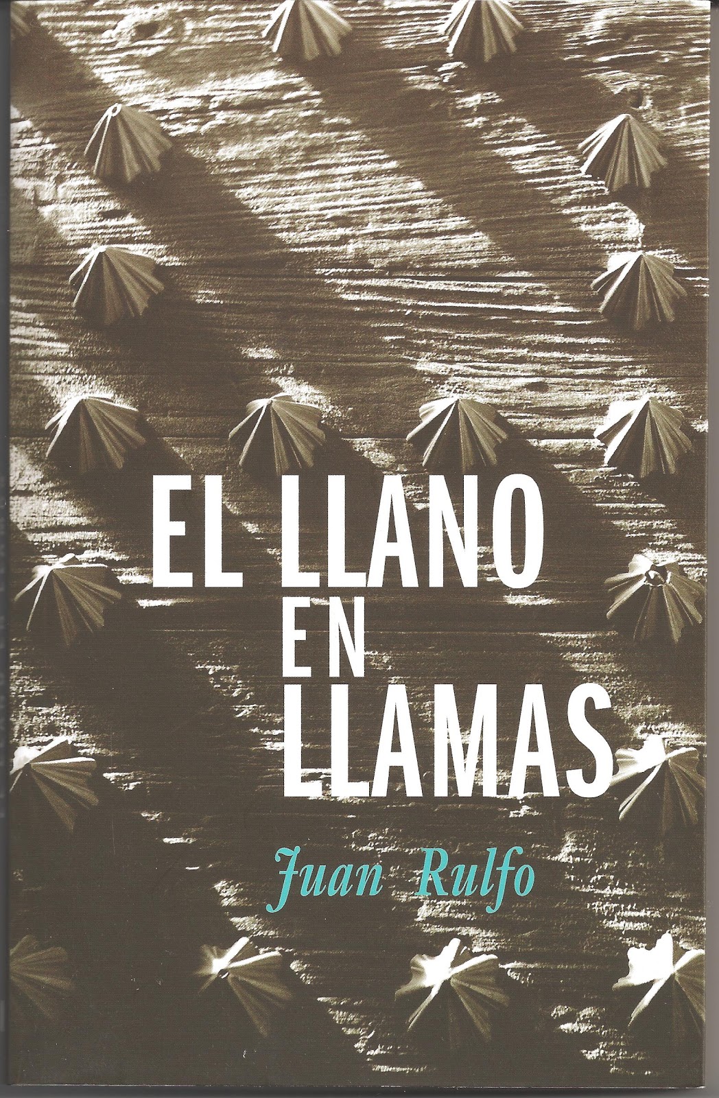 LLANO EN LLAMAS